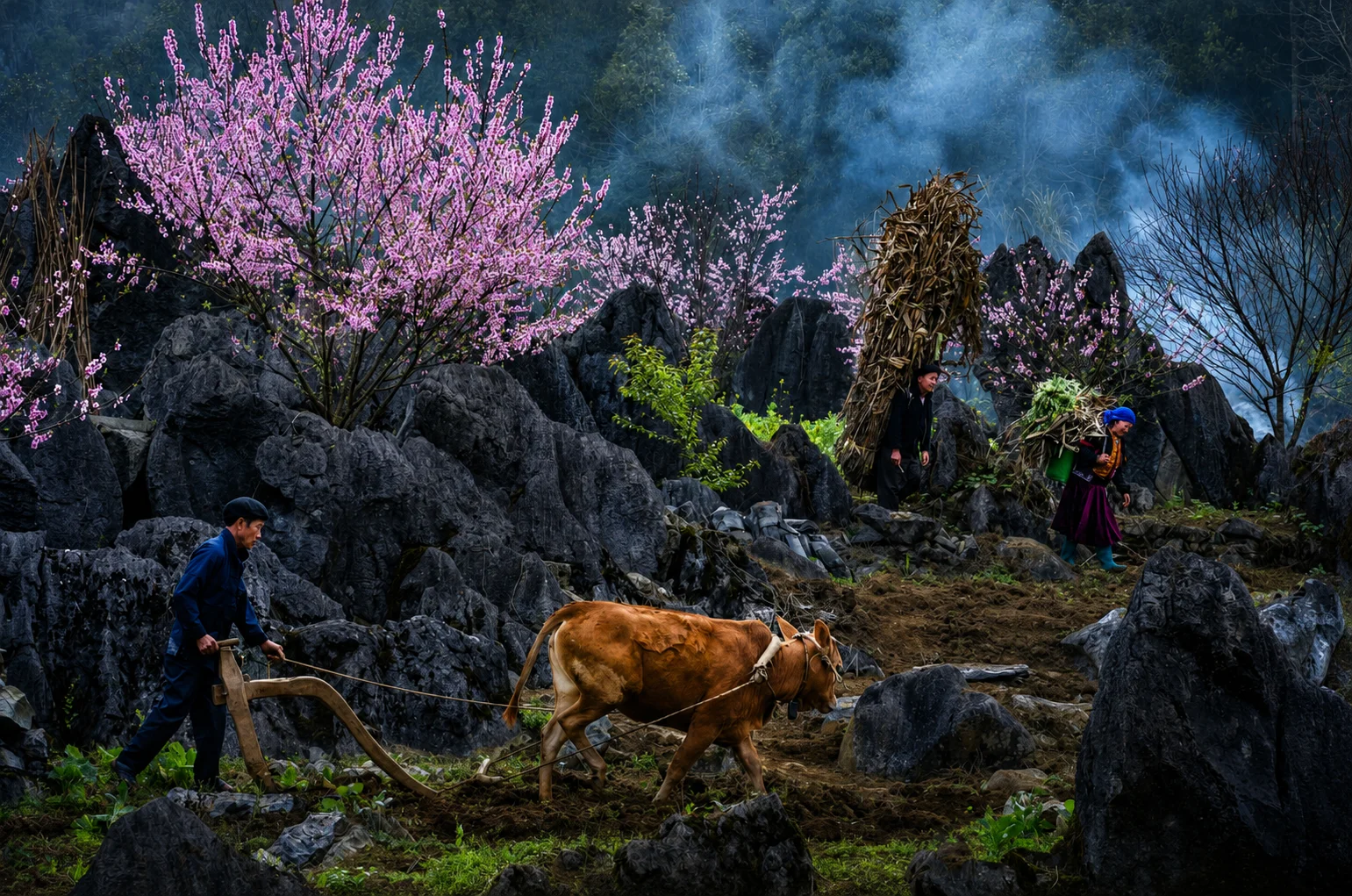 Tây Bắc · Mùa Hoa
